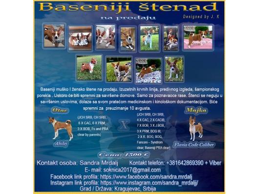 Baseniji